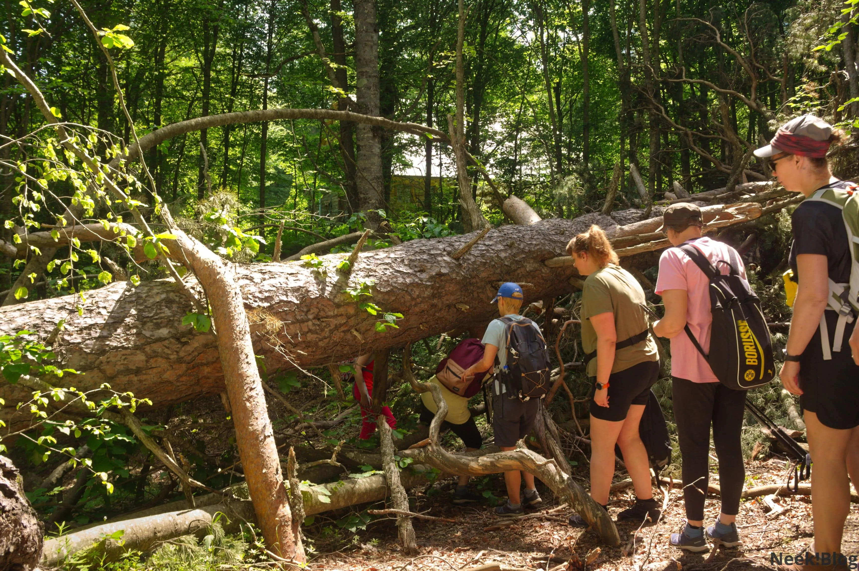 Экотропа цей