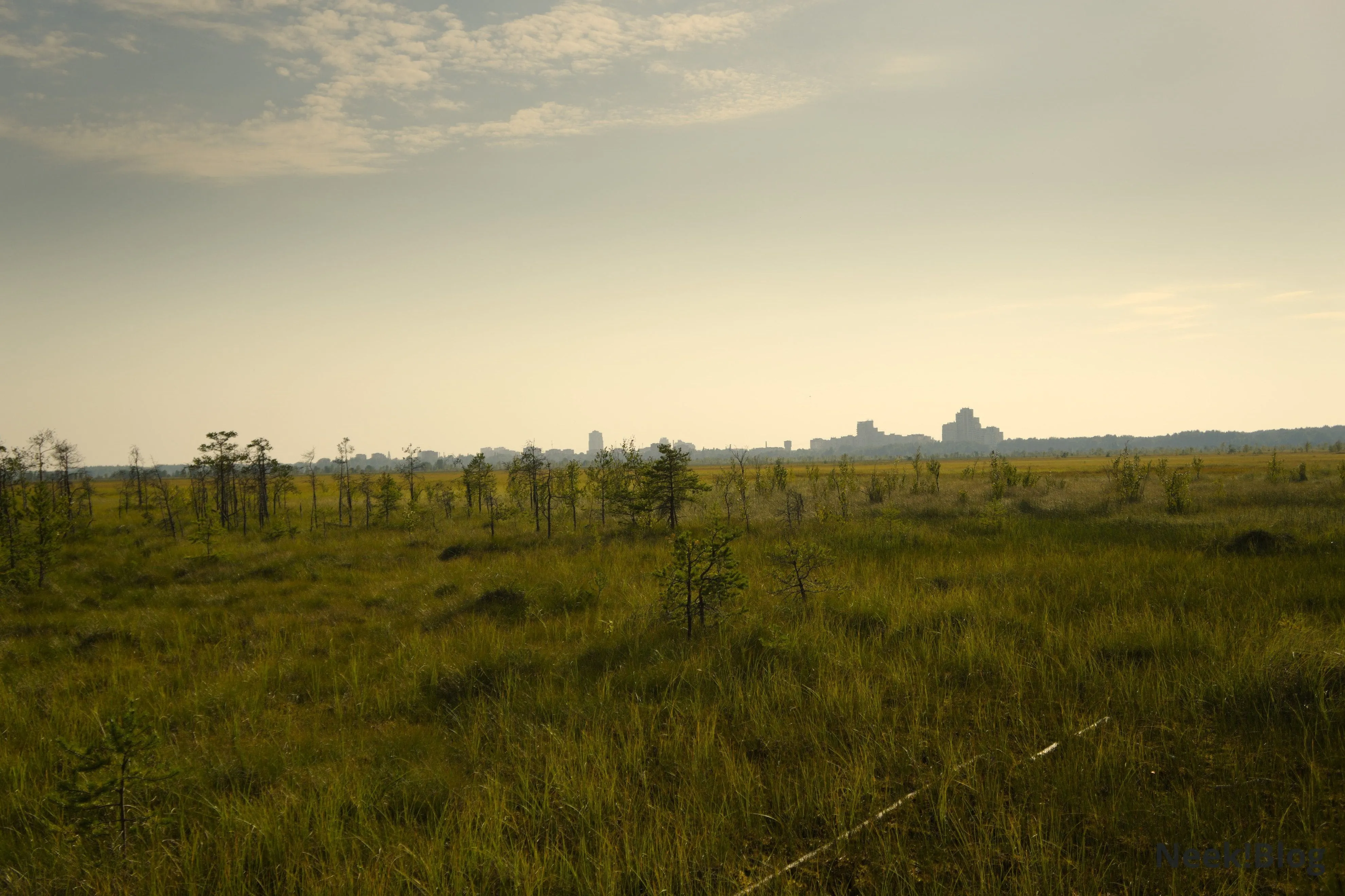 Дорога по болоту